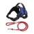 Blue Harness + Red Rope