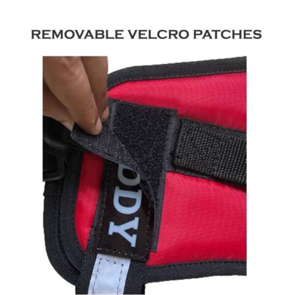 Saway Pet Store K9 Premium Customizable Dog Harness – Red