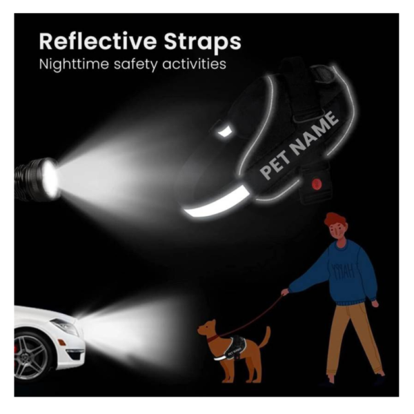 Saway Pet Store K9 Premium Customizable Dog Harness – Red