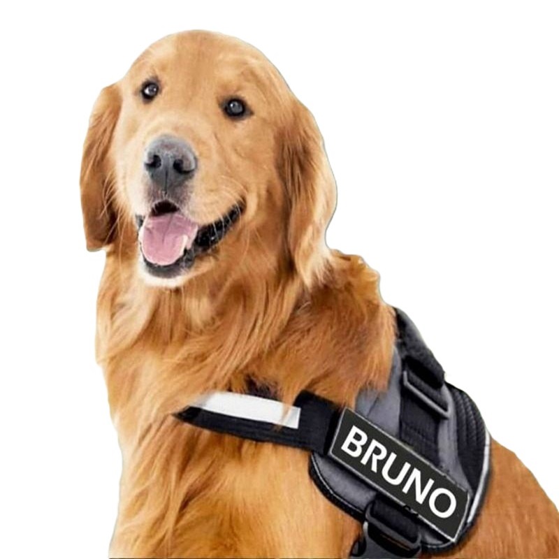 Customized-Dog-Harness-e1652631054175