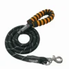 Saway Night Glow Dog Leash - Reflective Rope & Foam Grip