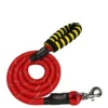 Saway Night Glow Dog Leash - Reflective Rope & Foam Grip