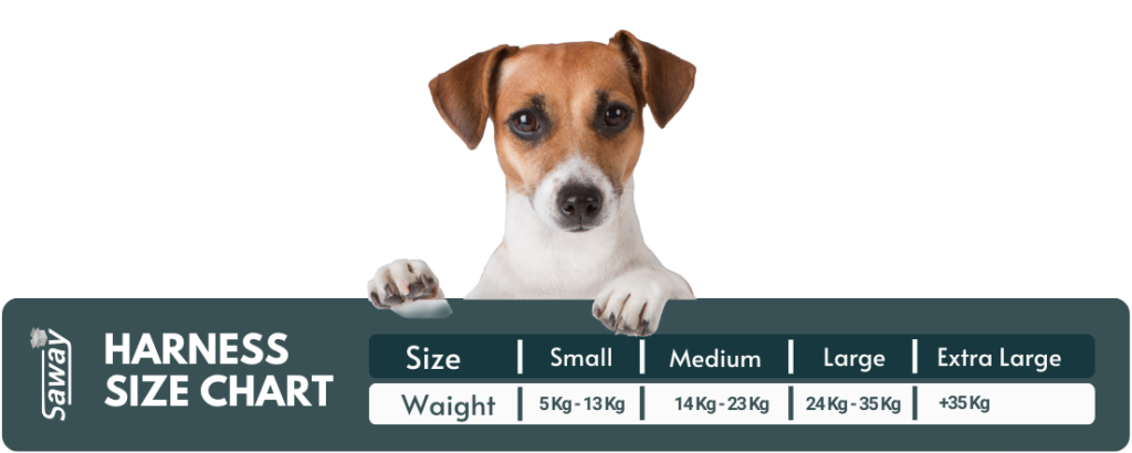 Harness Size Chart by saway pet store and supplies