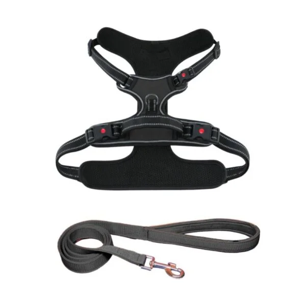 Saway Pet Store Premium Orange Dog Chest Harness and Matching Leash Set with Reflective Straps and Breathable Mesh