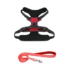 Saway Pet Store Premium Orange Dog Chest Harness and Matching Leash Set with Reflective Straps and Breathable Mesh